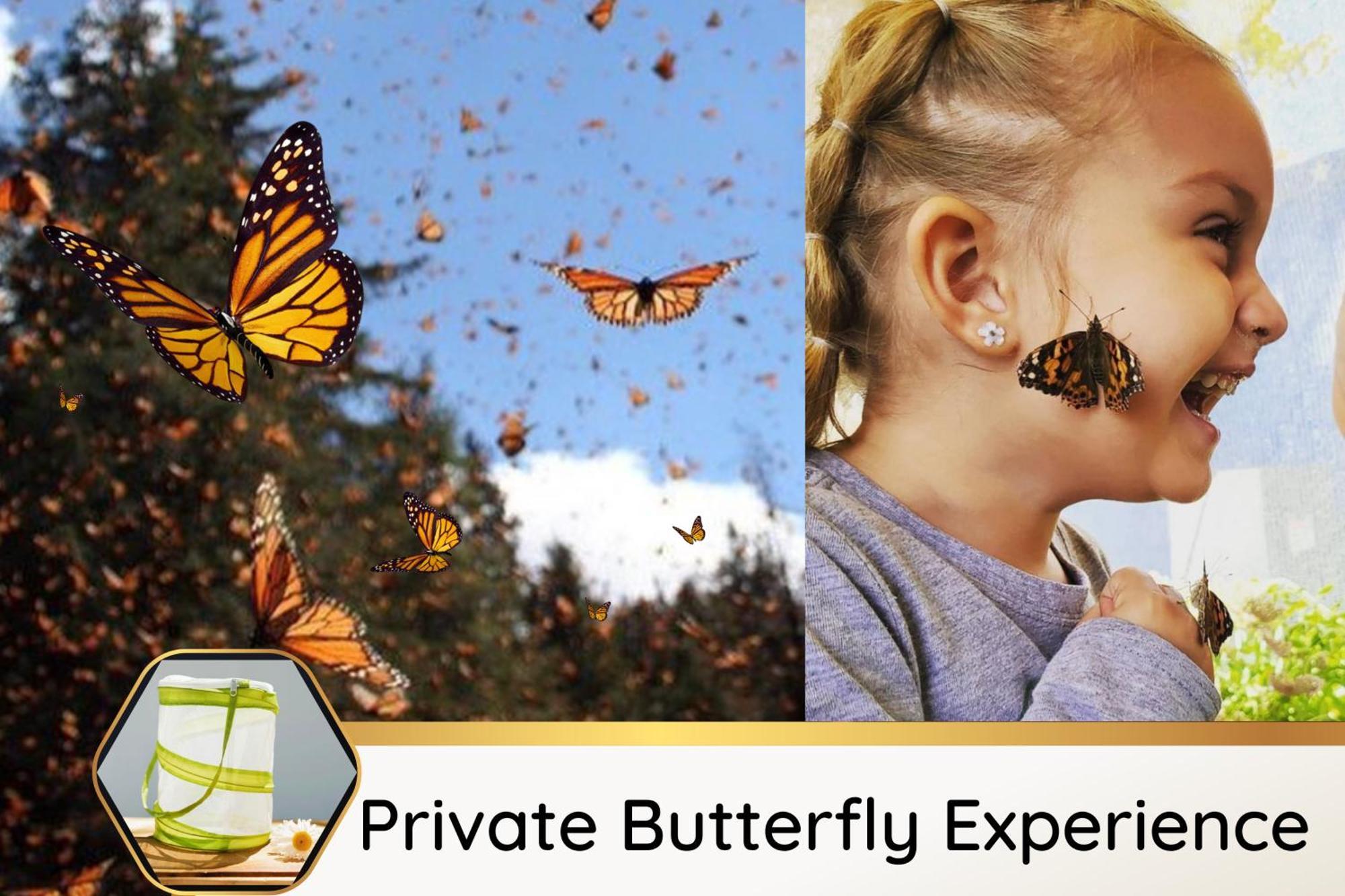 Butterfly Themed Kings Apartment With Private Garage & Access To Lux Hot Tub, Bbq & Gym South Jordan Exterior photo